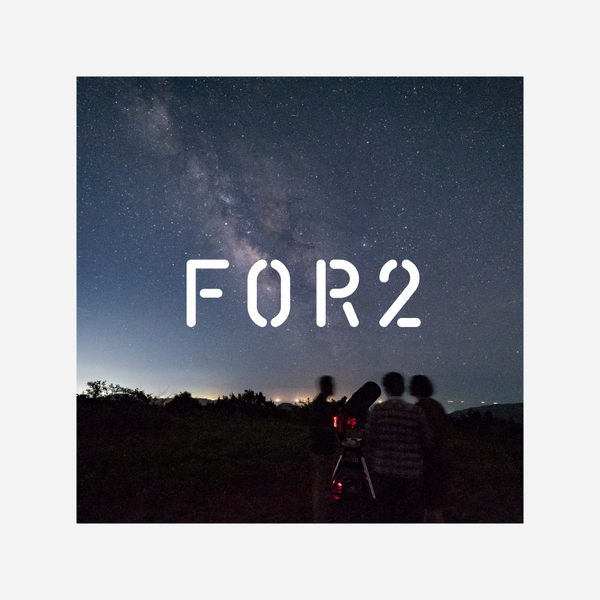 FOR2ギフト(SILVER)(eギフト)|結婚祝いや両親に贈る ペアで FOR2ギフト(SILVER)(eギフト)|結婚祝いや両親に贈る ペアで
