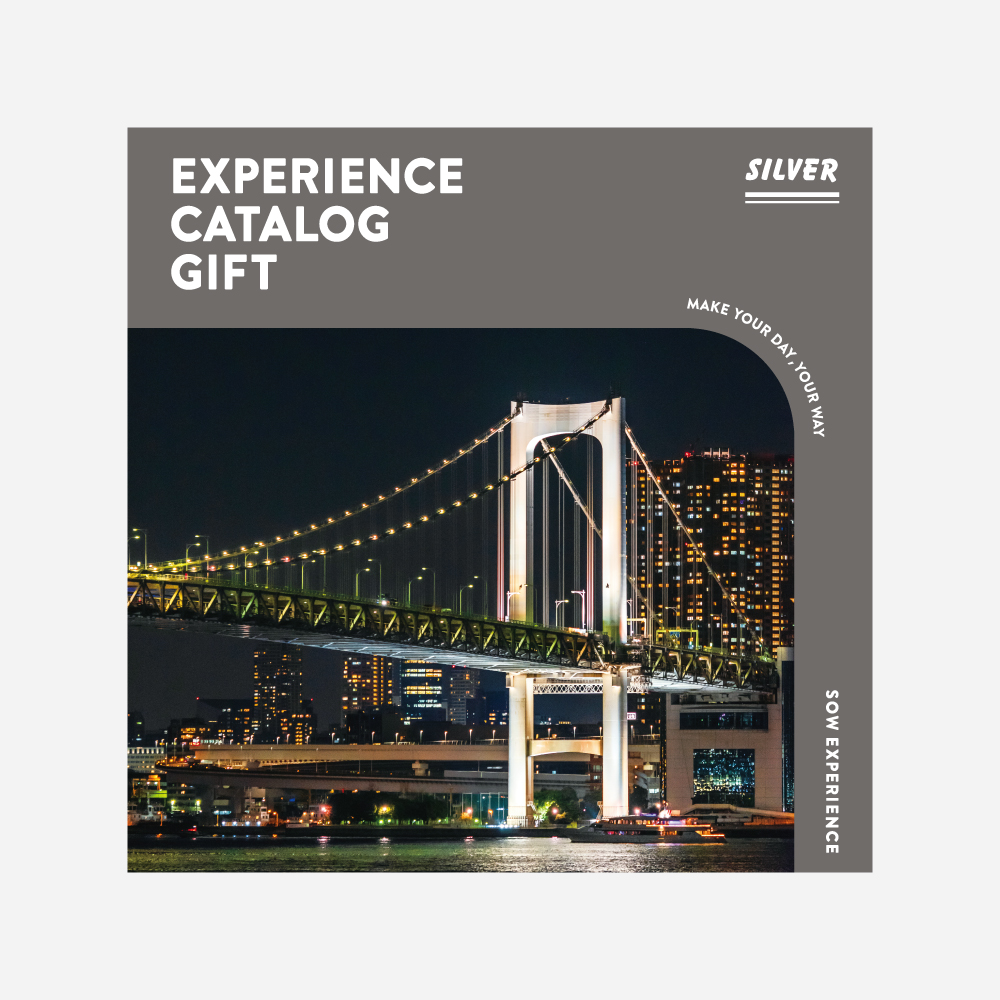 taaa様 専用 スノー 総合版カタログ SILVER 【公式通販】