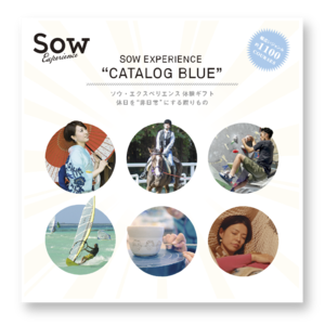 総合版カタログBLUE