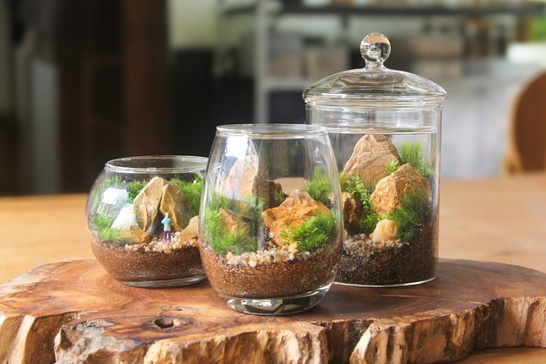 苔テラリウム作りコース」の体験ギフト。苔むすび 所要時間：60分 2人
