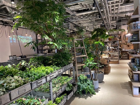 植物・雑貨の買い物コース」の体験ギフト。garage TOKYO 所要時間：45