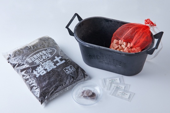 キッチンハーブの栽培キット」をギフトとして贈れます。 - Relax Gift