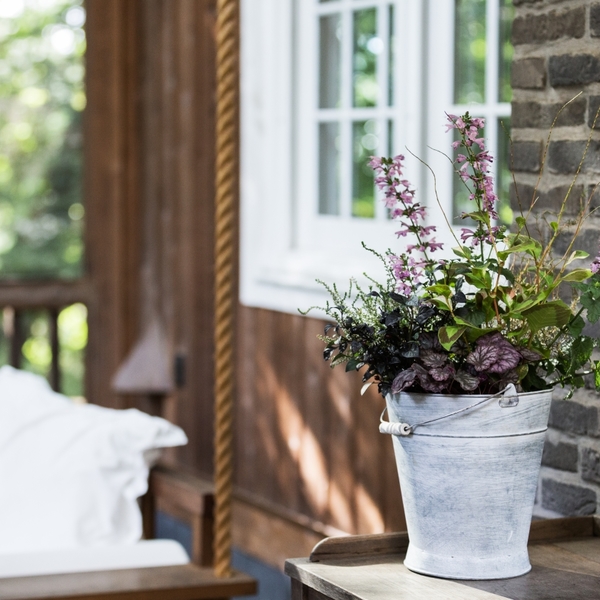 育てて楽しめる草花の寄せ植え をギフトとして贈れます フラワーギフト プレゼント ソウ エクスペリエンス体験ギフト