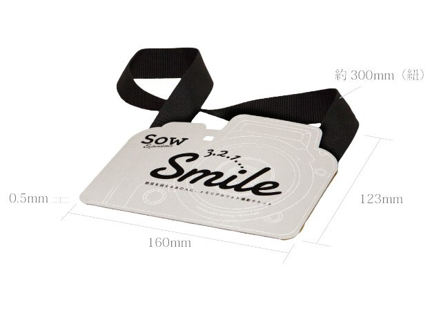 専用のパッケージ入り