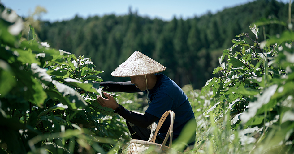 作り手のセンスが光るグルメ・スイーツ