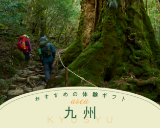 九州エリア