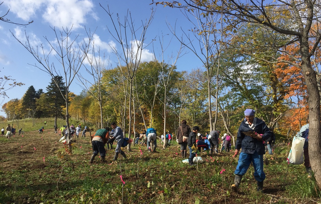 自分の木を植えるプレゼントツリー チャリティ をギフトとして贈れます 総合版カタログgreen プレゼント ソウ エクスペリエンス体験ギフト
