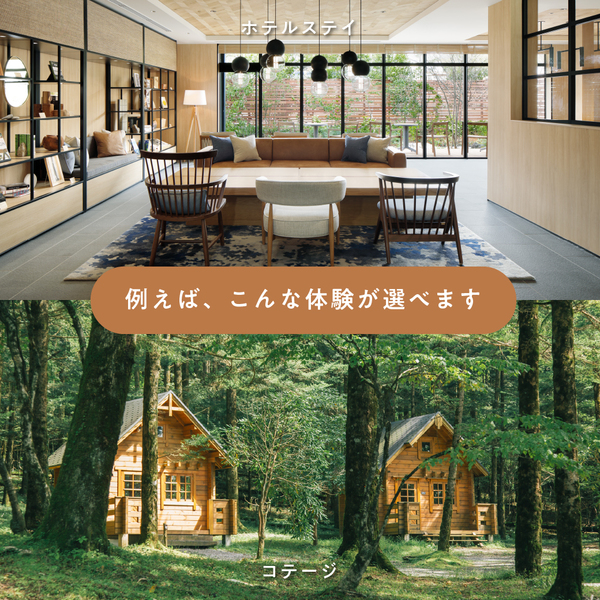 旅と体験のギフト（BROWN）（eギフト）｜日帰りから宿泊まで。ホテルで